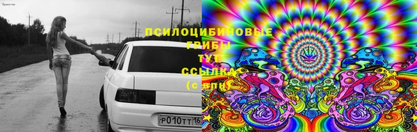 дурь Гусиноозёрск