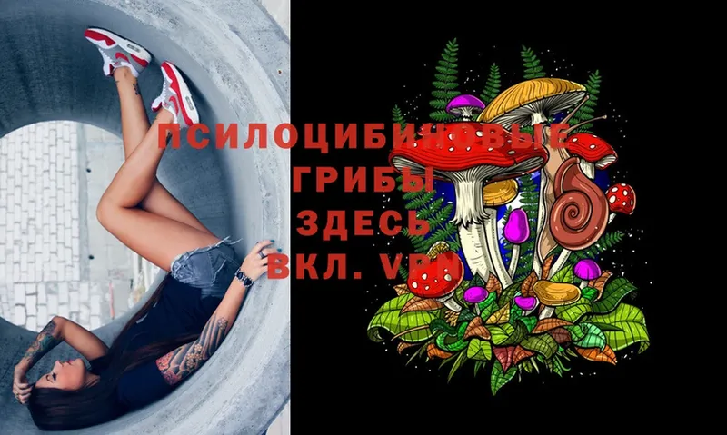 OMG ссылка  Подольск  Галлюциногенные грибы Magic Shrooms  где найти  